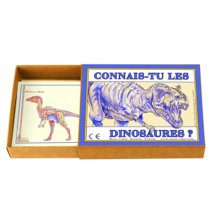 Jeu de cartes : connais-tu les dinosaures ?