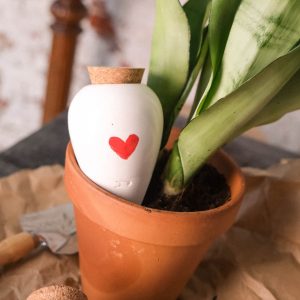 Olla pour arroser ses plantes de manière autonome – Coeur – Pepin