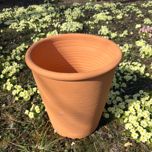 Pot d&rsquo;ornementation Tilia