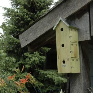 Appartement pour moineaux – vertical