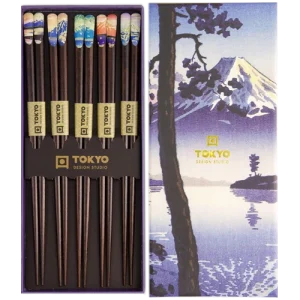 Coffret 5 baguettes Fuji