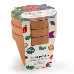 Kit trio de pots en terre cuite – Pesto Bio