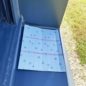 10 bandes attrape-mouches