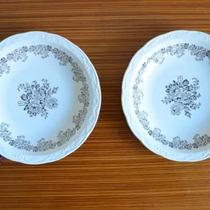 Lot de 2 assiettes Digoin