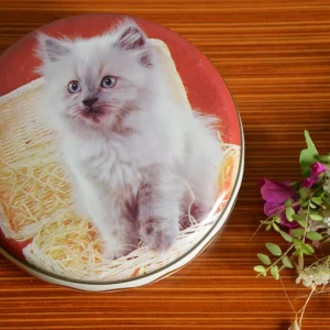 Boite en métal avec un décor de chat