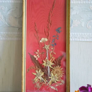 Cadre de fleurs séchées vintage, fond rouge