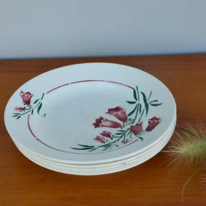 Lot de 5 assiettes plates Ste Amandinoise, St Amant
