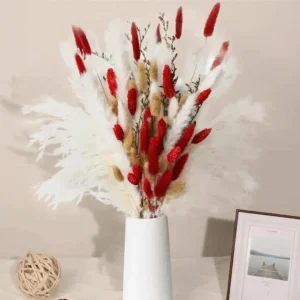 Bouquet de Fleurs Séchées Pampas Rouge Romantique