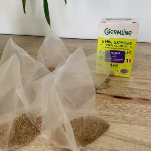 5 mini germoirs – Graines ALFAFA